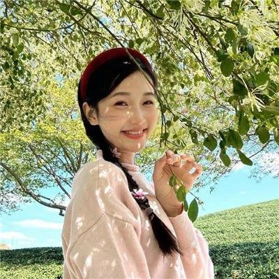 李佩西与五大王国的守护者